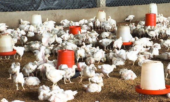 mozambique-team-set-up-to-investigate-theft-of-antiretrovirals-in-tete